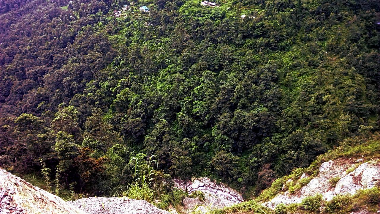 Enchanted Forest Farmstay Gangtok Eksteriør billede