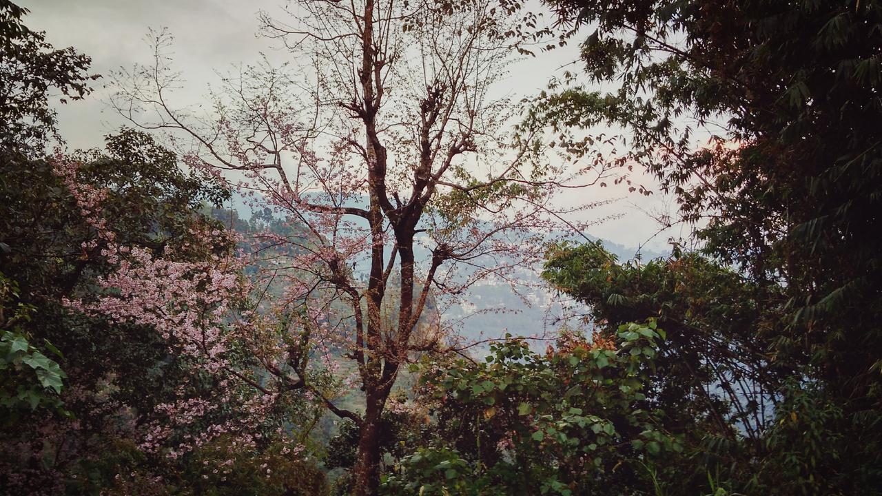 Enchanted Forest Farmstay Gangtok Eksteriør billede