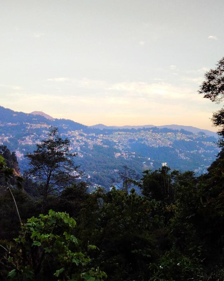 Enchanted Forest Farmstay Gangtok Eksteriør billede