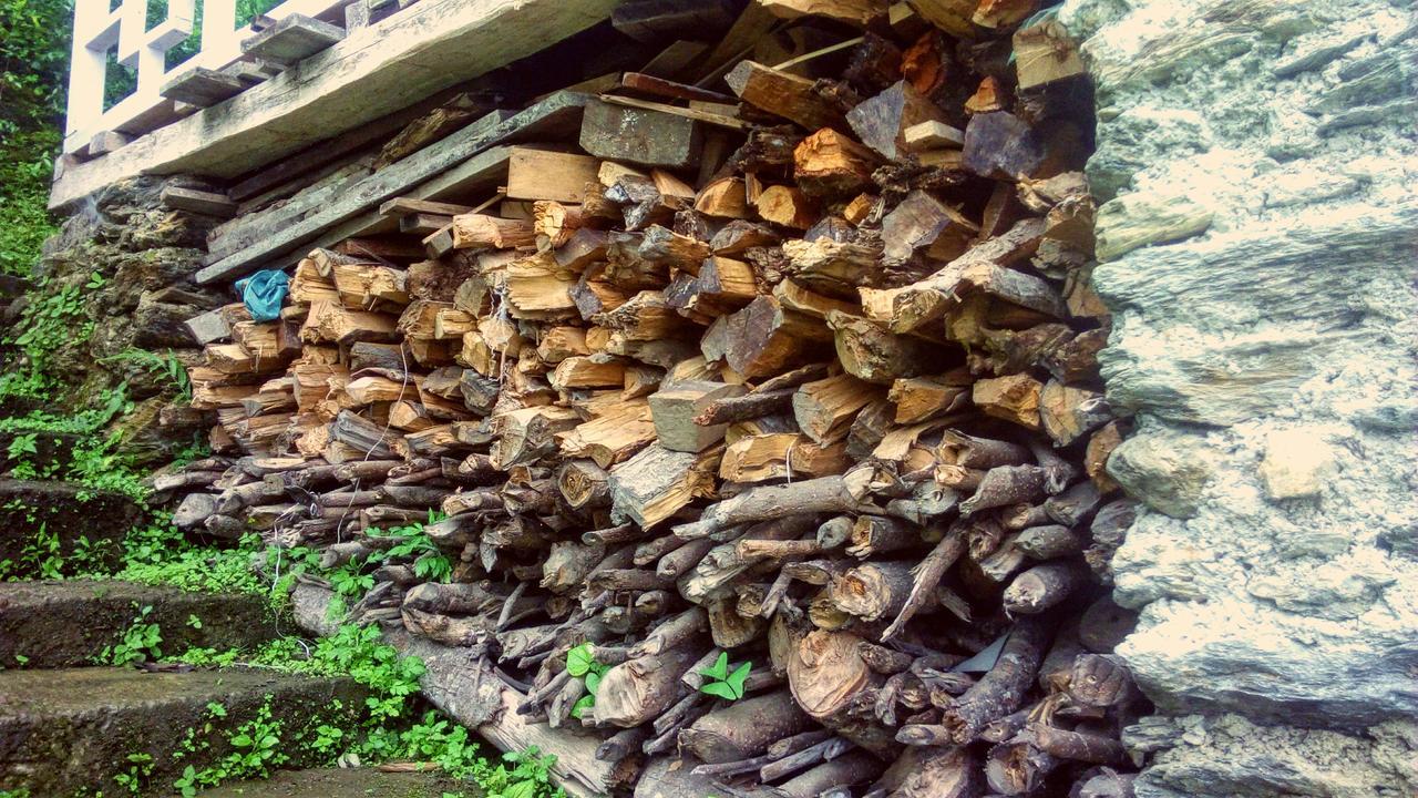 Enchanted Forest Farmstay Gangtok Eksteriør billede