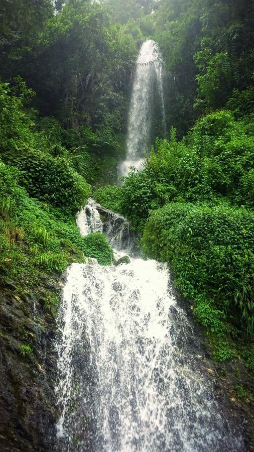 Enchanted Forest Farmstay Gangtok Eksteriør billede