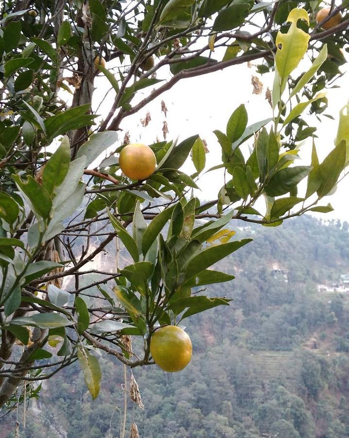 Enchanted Forest Farmstay Gangtok Eksteriør billede