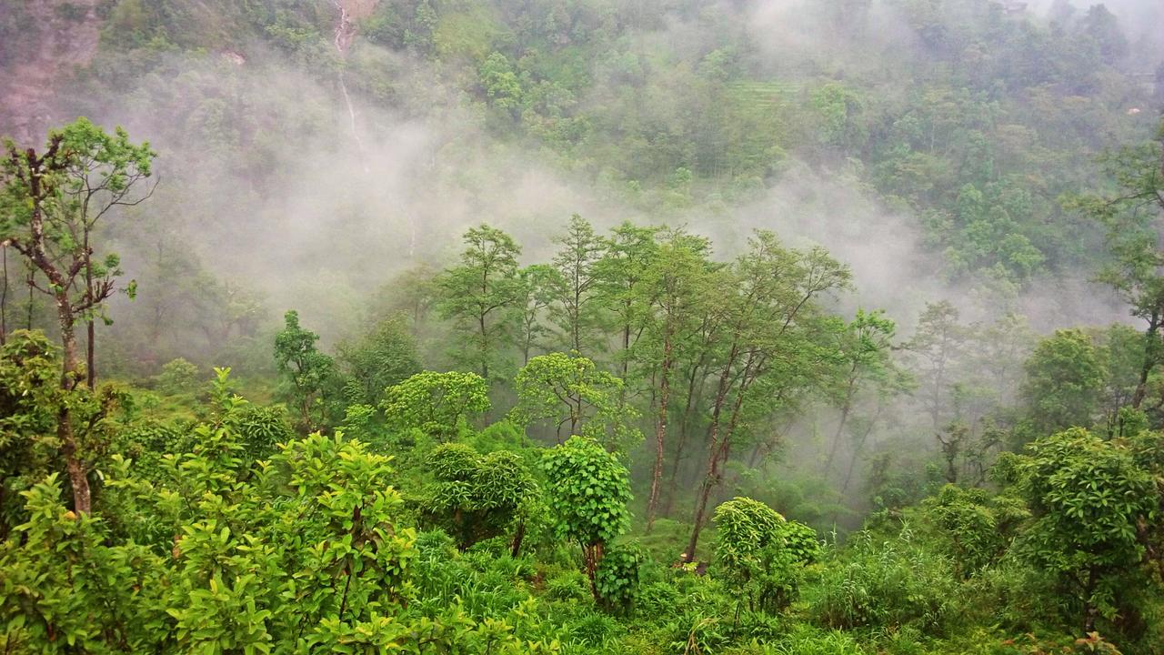 Enchanted Forest Farmstay Gangtok Eksteriør billede