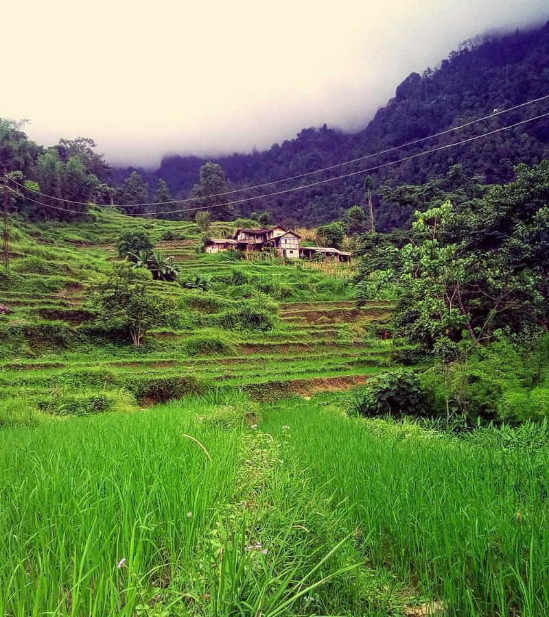 Enchanted Forest Farmstay Gangtok Eksteriør billede