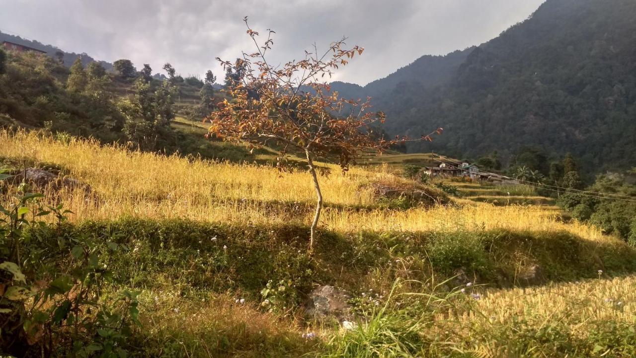 Enchanted Forest Farmstay Gangtok Eksteriør billede