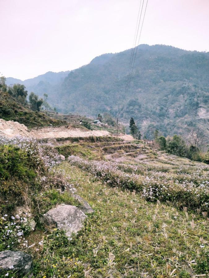 Enchanted Forest Farmstay Gangtok Eksteriør billede