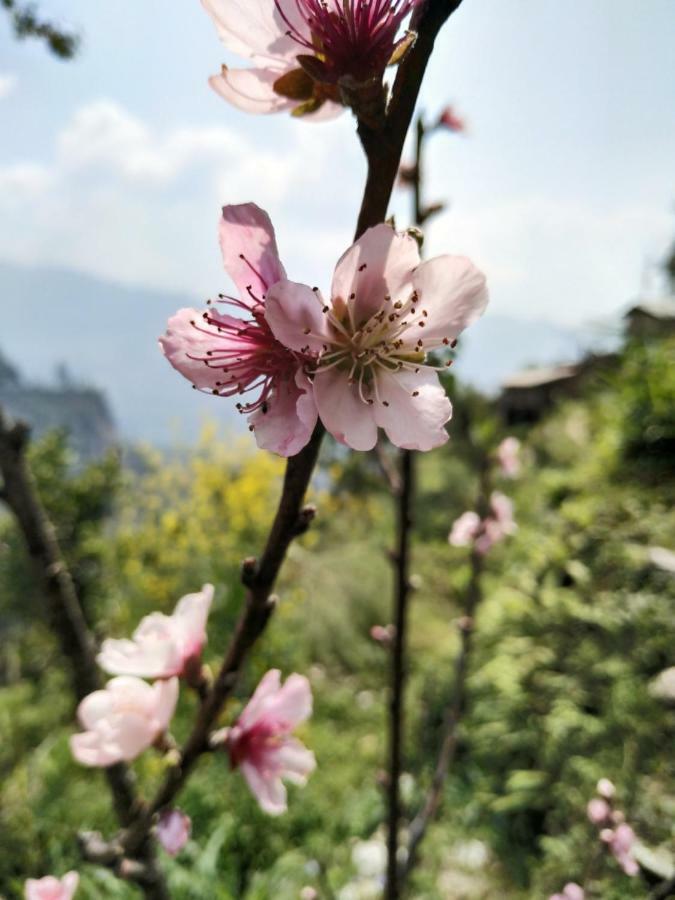 Enchanted Forest Farmstay Gangtok Eksteriør billede