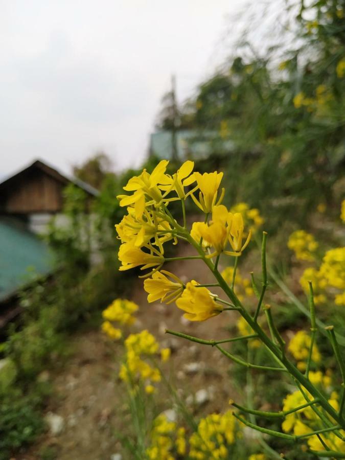 Enchanted Forest Farmstay Gangtok Eksteriør billede