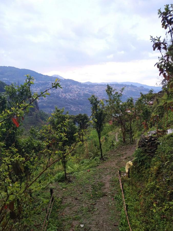 Enchanted Forest Farmstay Gangtok Eksteriør billede