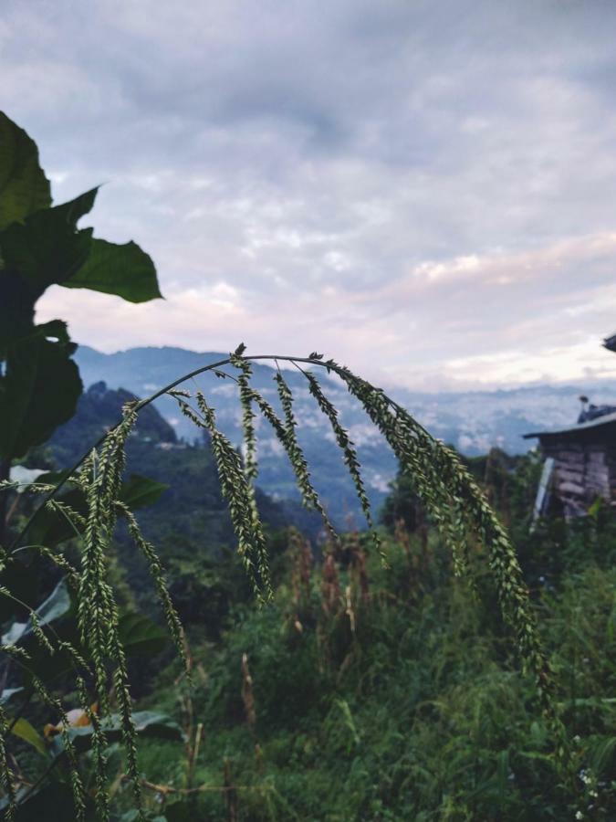 Enchanted Forest Farmstay Gangtok Eksteriør billede