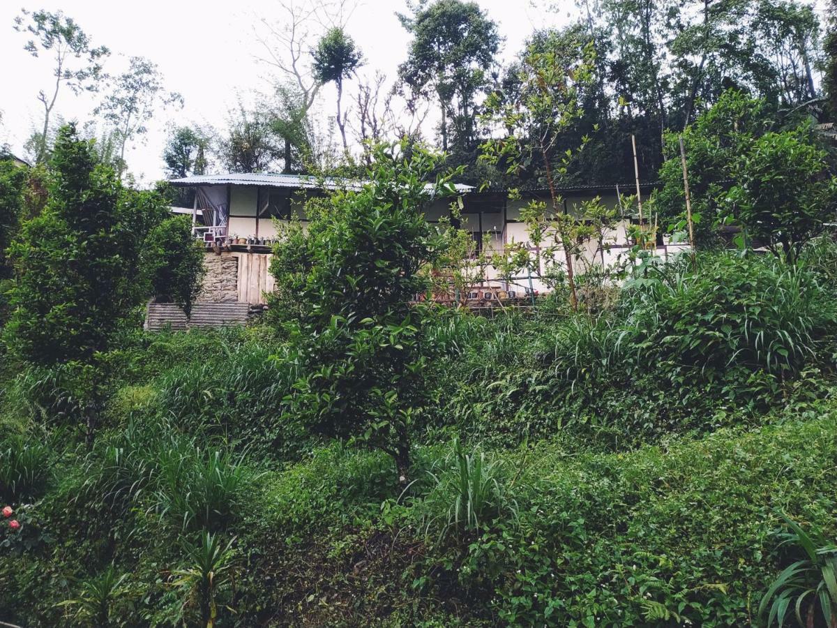 Enchanted Forest Farmstay Gangtok Eksteriør billede